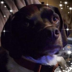 Meet your Posher, Diane